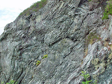 Folded-Lower-Cambrian-Schis